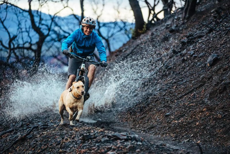 Biker and dog going fast