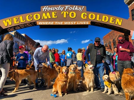 Golden arch and golden retrievers